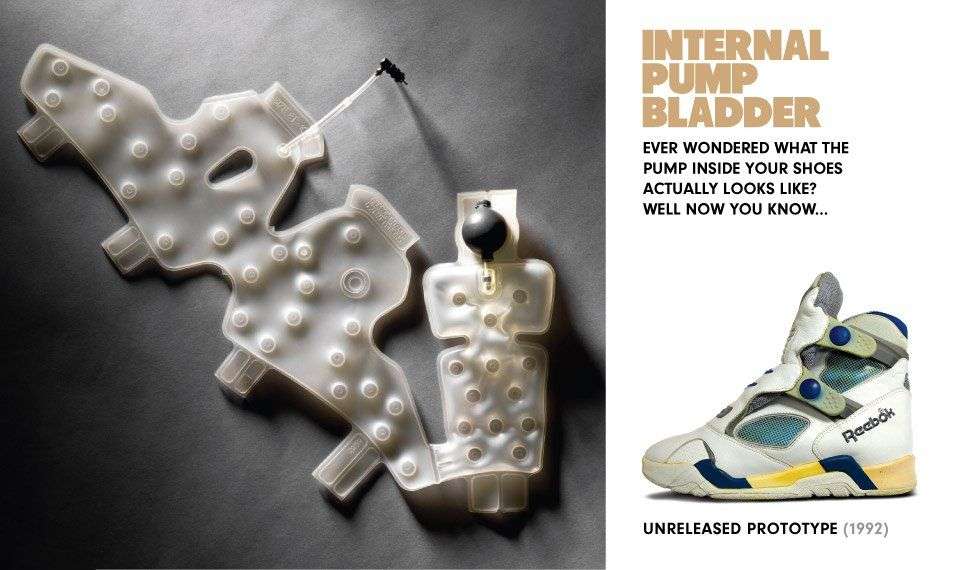 3-bladder-1.jpg